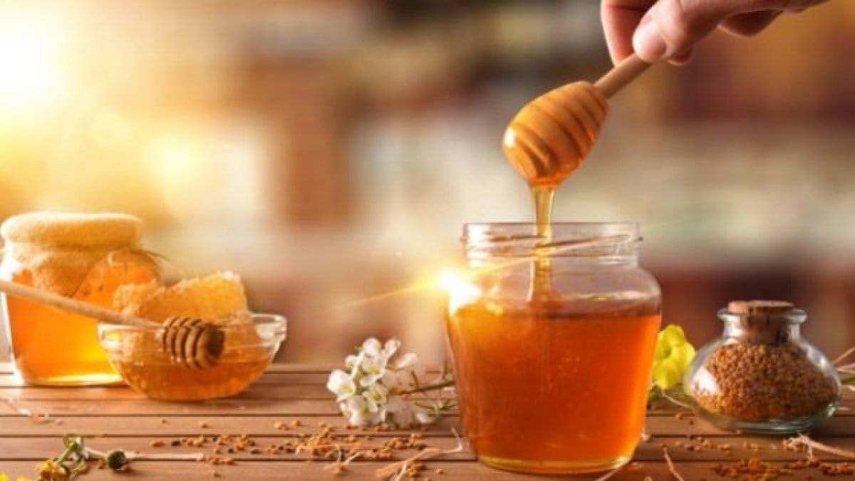 أفضل أنواع العسل لتقوية المناعة عند الكبار والصغار